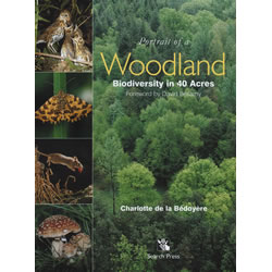 Portrait of a Woodland